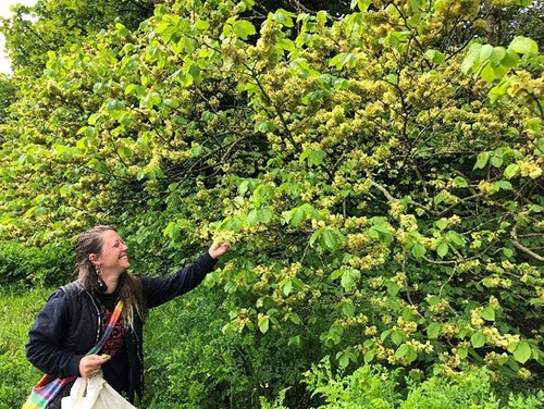 Foraging in Scotland